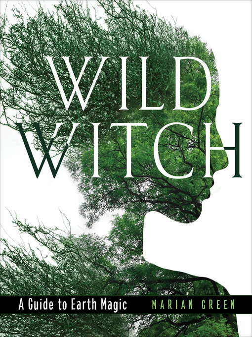 Title details for Wild Witch by Marian Green - Wait list